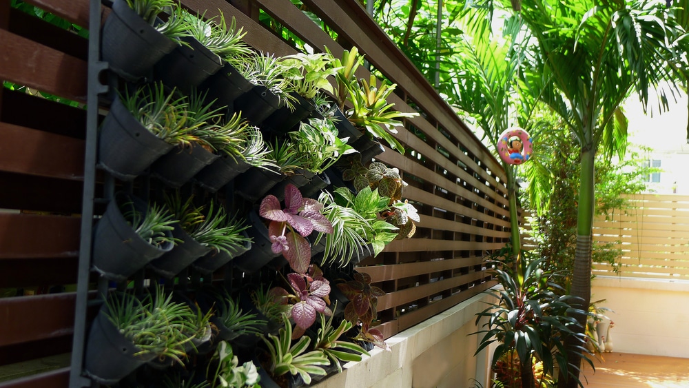 Challenges of Creating Vertical Gardens