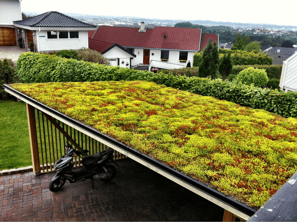 green roof types