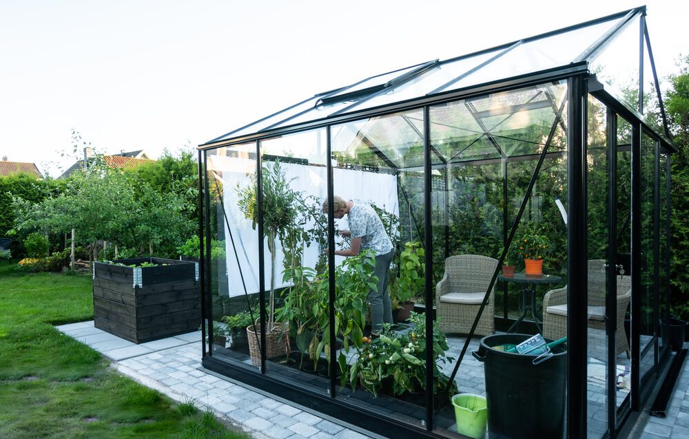 man inside a greenhouse