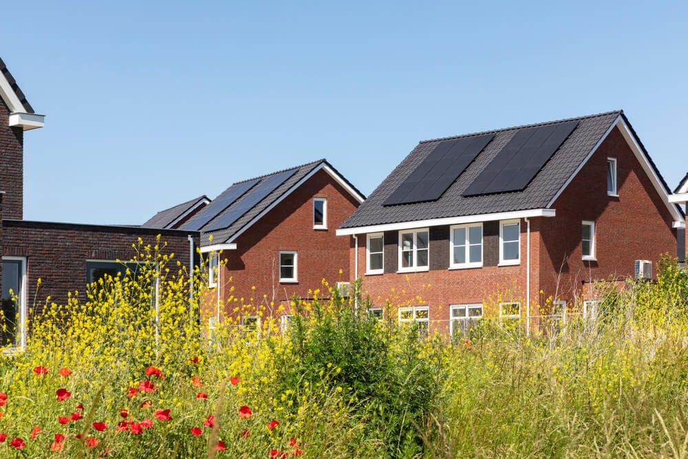 eco-friendly solar panels on roof