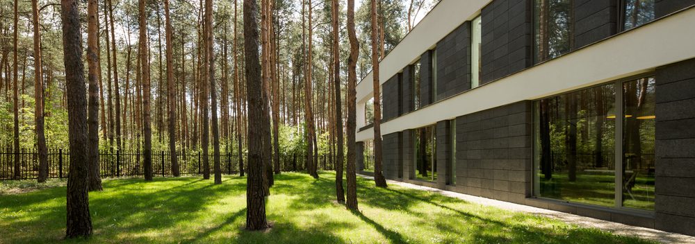 modern home in forest