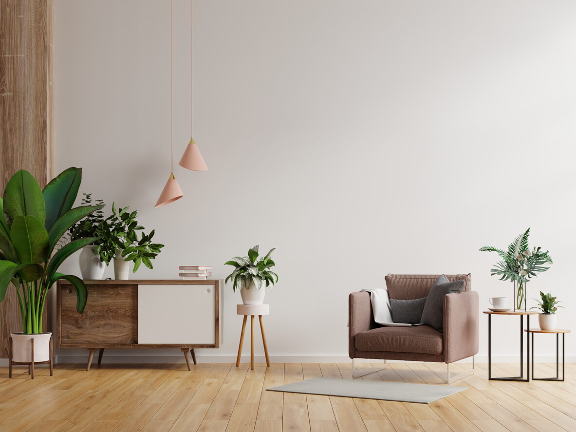minimalist living room with plants and ornaments